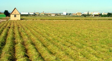 relajacion_psicologos_valencia_cambio